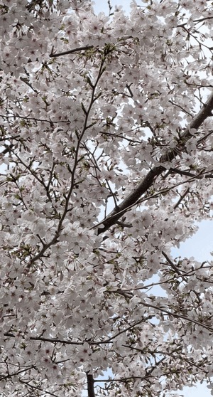 3月