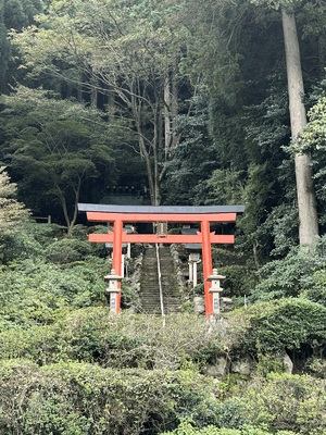 おはようございます