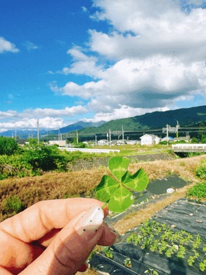 しあわせの🍀