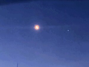 もっと近寄ってもいーんやで♪