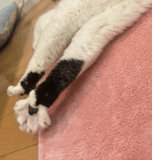 つ。