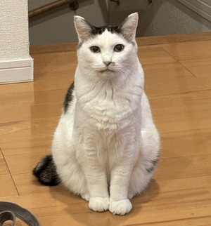 つ。