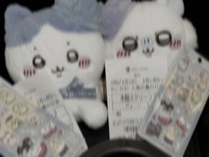 きょうの予定！