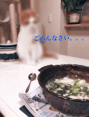 大人しくしてます