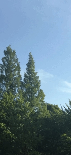 メガネウィークラスト(-⊡ω⊡)ゞｸｲｯ