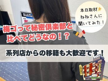 【ねね】さんに系列店と梅ゴの違いを聞いてみた🤗