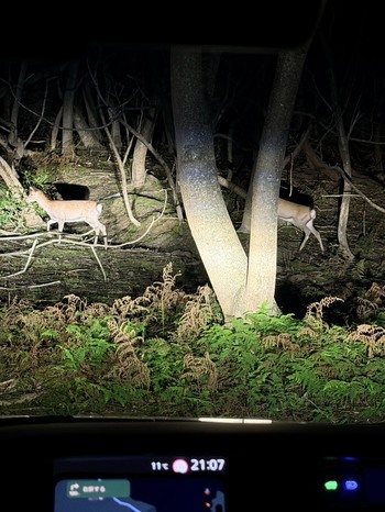 撮影に行ったら・・・