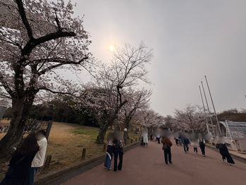 お花見。　byTGW