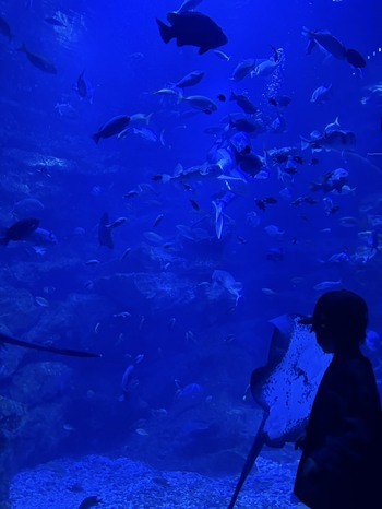 プチ旅行　byTGW