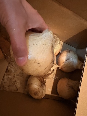 なんで？　　byTGW